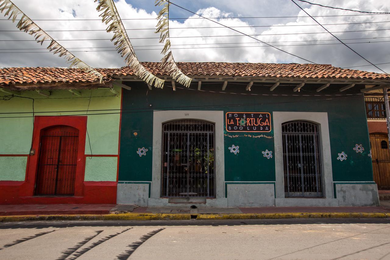 Hostal La Tortuga Booluda Leon Exterior photo